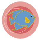 Angelfish