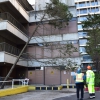 Fallen Tree at School of Nursing