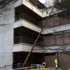 Fallen Tree at School of Nursing