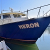 Commuter Ferry Service to Mission Bay