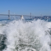 Commuter Ferry Service to Mission Bay