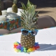 Aloha Summer! The Annual CLS Picnic