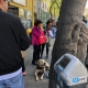 Helping the Homeless