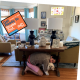 Drop, Cover, and Hold On Photo Contest
