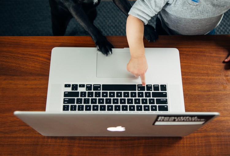 child and paw on laptop-unsplash.jpg