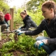 Volunteering at Mt.Sutro