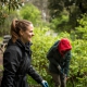 Volunteering at Mt.Sutro