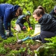 Volunteering at Mt.Sutro