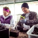 Volunteering at Mt.Sutro