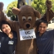 UC Walks 2019